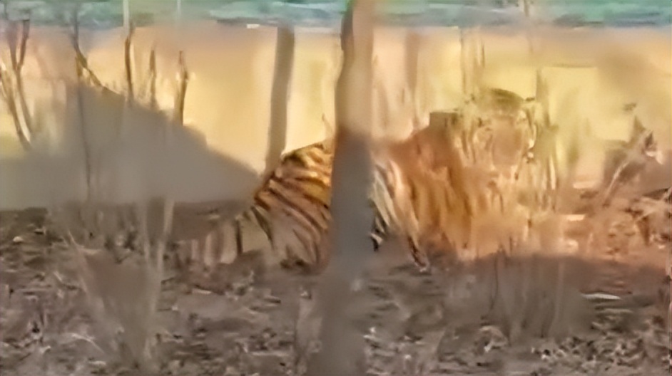 连花清瘟卖50一盒,连花清瘟48粒零售价40元