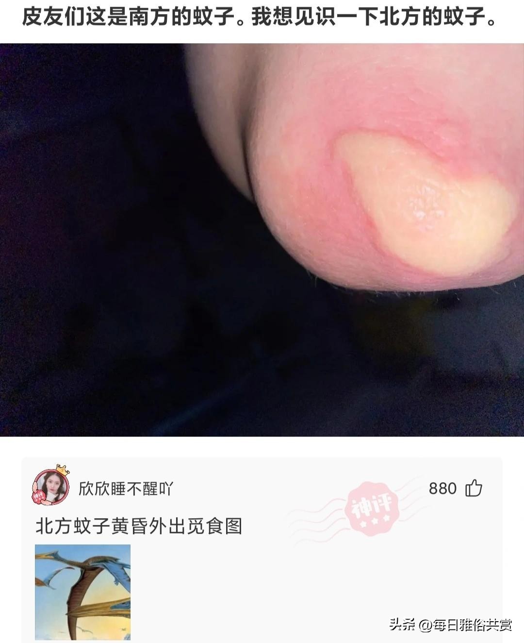 【盐选神回复】请问这种病该怎么治。