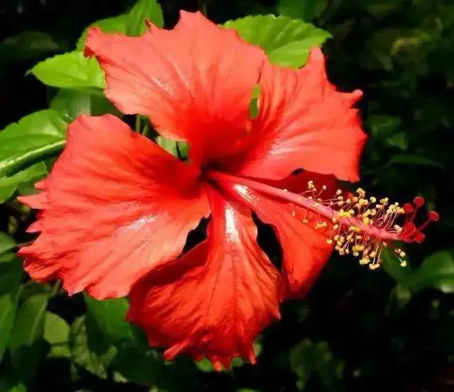 国色天香秀色可餐的美女 (秀色可餐与国色天香)