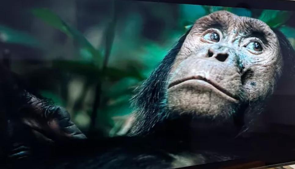 索尼x80l和x90l有什么区别,索尼a80l用的谁的面板