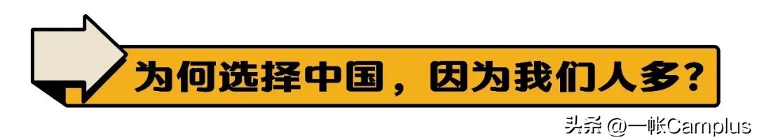 snowpeak进中国了吗,snowpeak上海