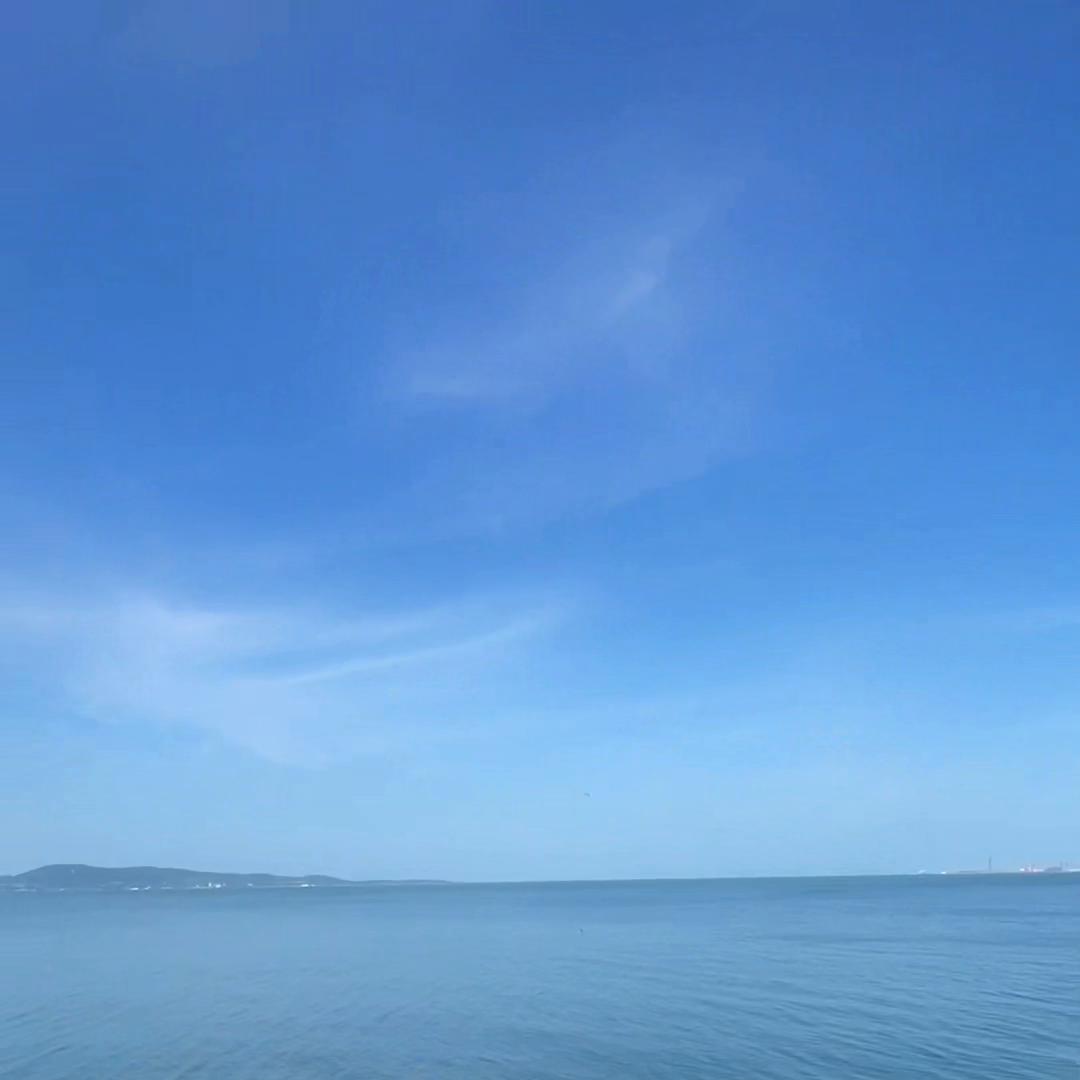 程序员入职到离职全过程vlog,程序员入职第一天vlog