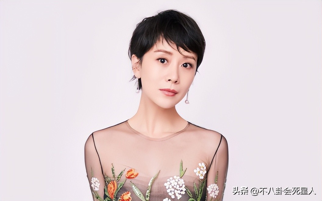 殷桃2022新剧,殷桃演技有多强殷桃孙俪演技对比