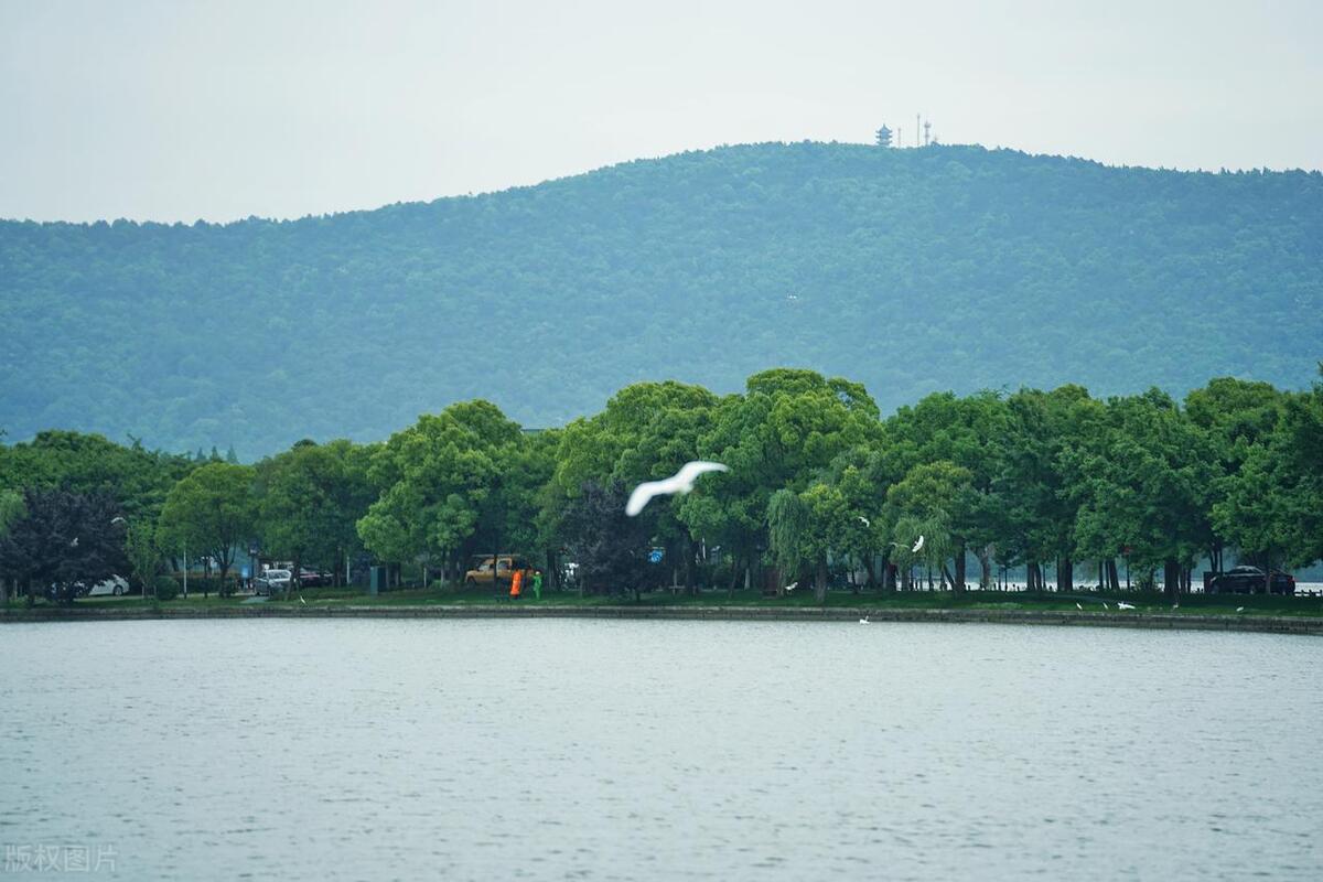 苏州这座城市怎么样,苏州最值得去哪个区