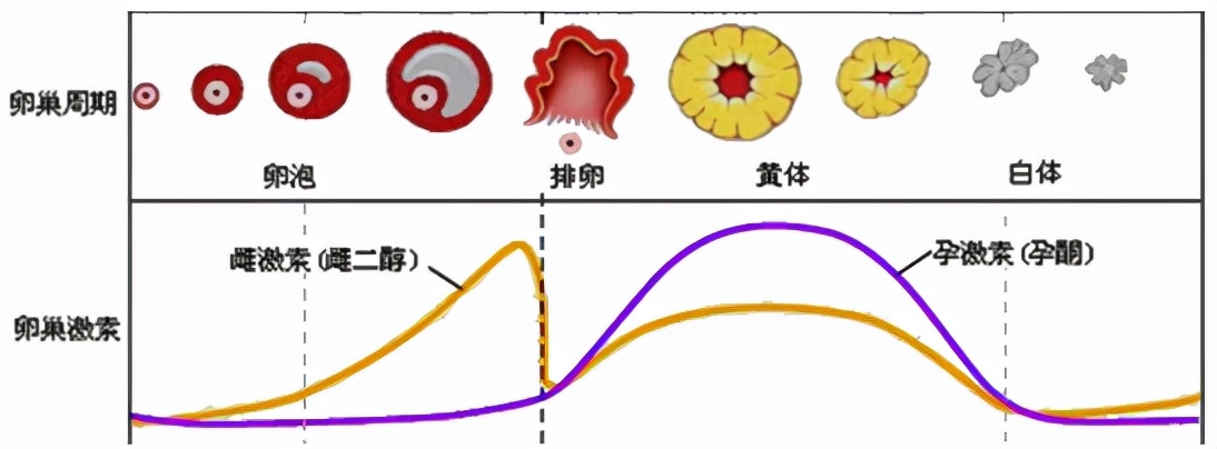 怕她不来又怕她乱来的文案,怕她不来又怕她乱来出处