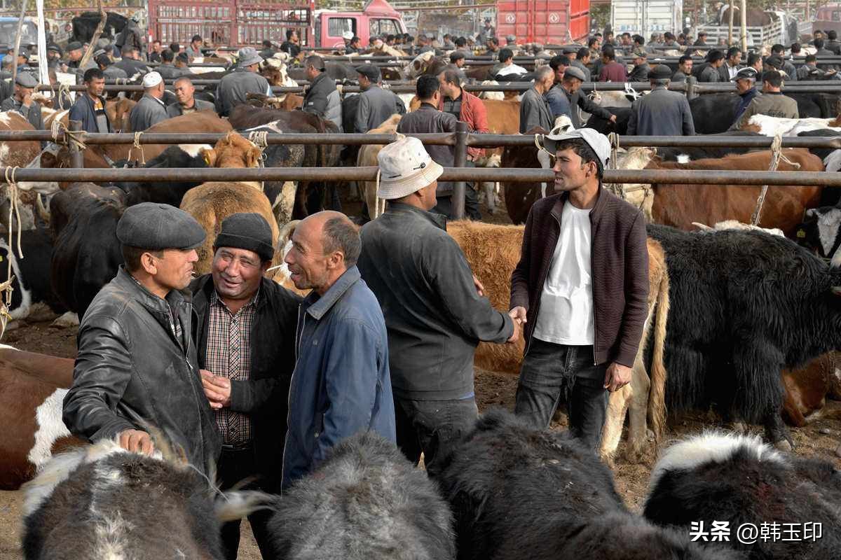 彩礼的经济利益,彩礼回扣是谁出