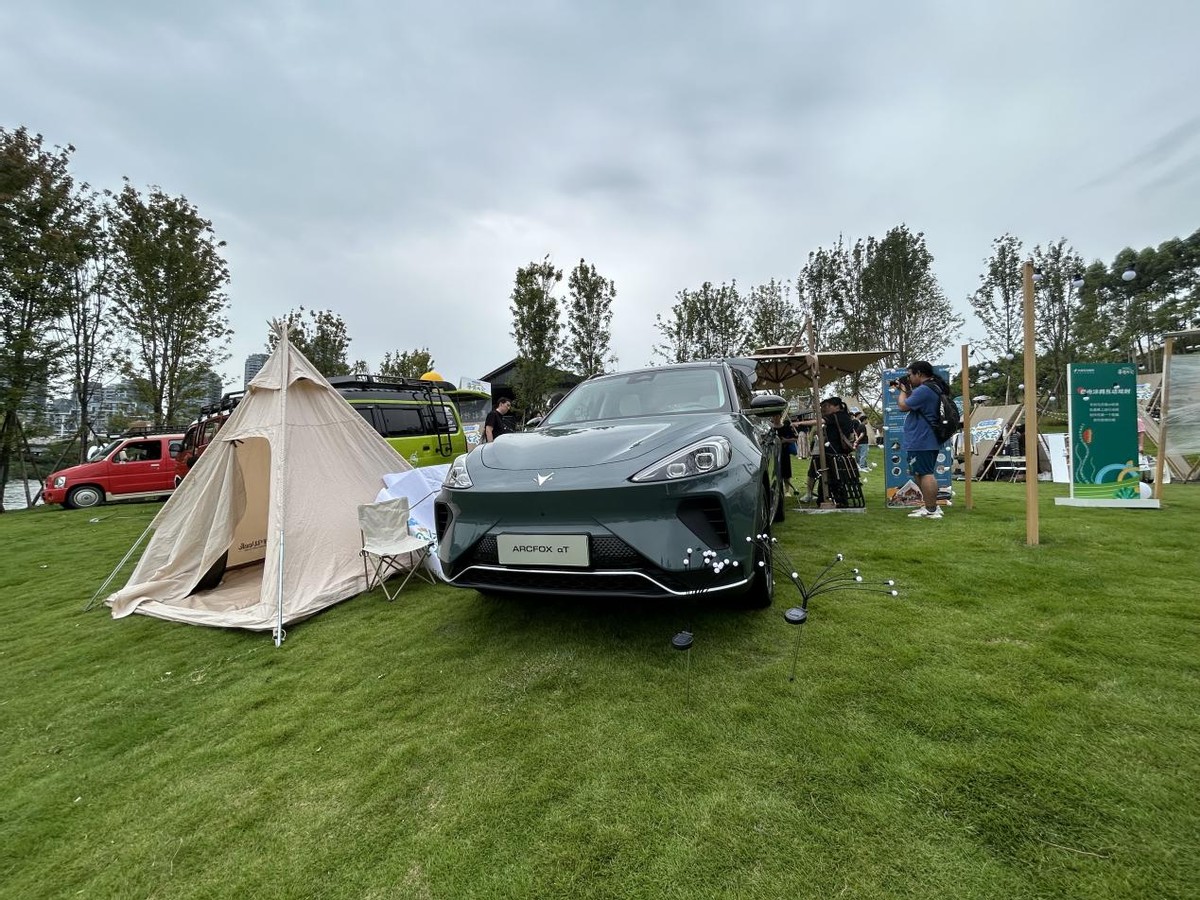 带你户外享受森林氧吧,天然森林氧吧露营