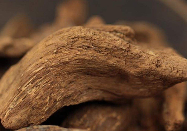 红土沉香里面有哪些成分,富森红土沉香有收藏价值吗