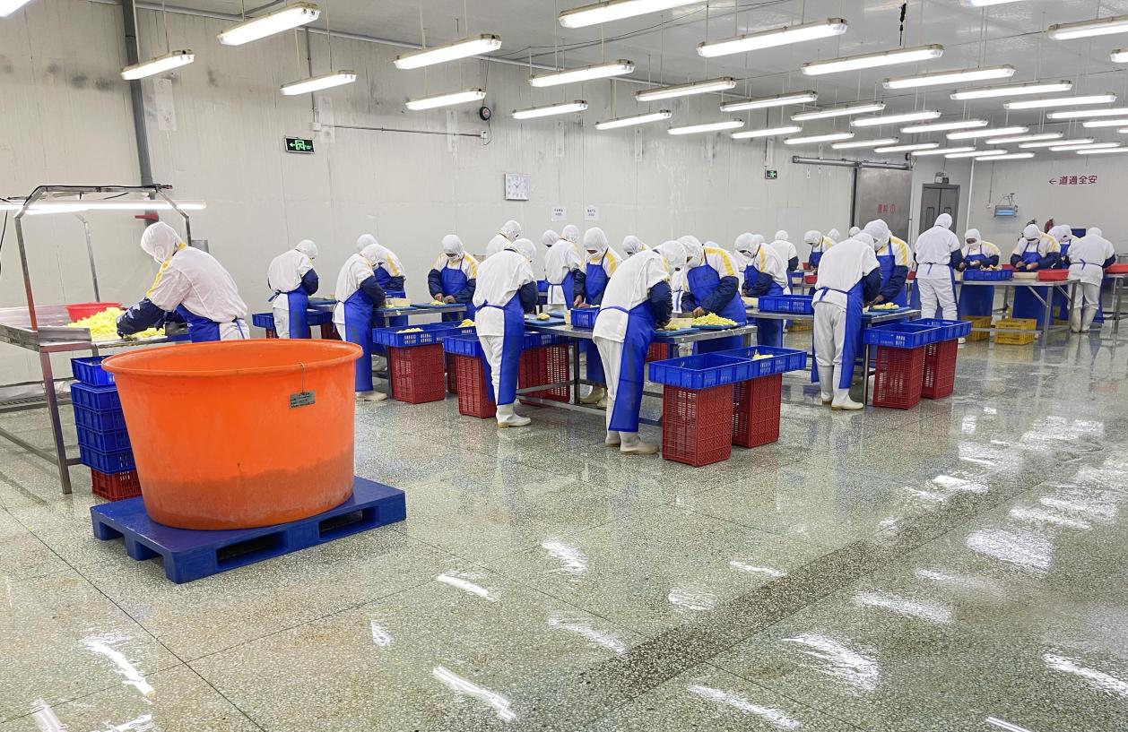 “潍品出海”行更远——潍坊市贸促会跨境电商服务助力企业融入世界商圈