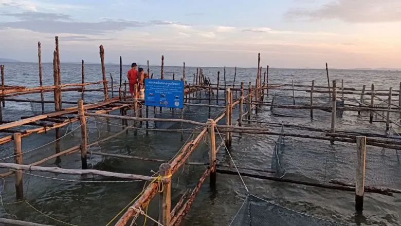 神奇柬埔寨,柬埔寨的神奇国度