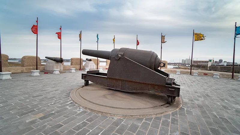 加拿大北极虾批发市场,加拿大批发北极甜虾