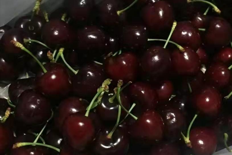 澳大利亚最新车厘子价格,智利车厘子丰收了吗