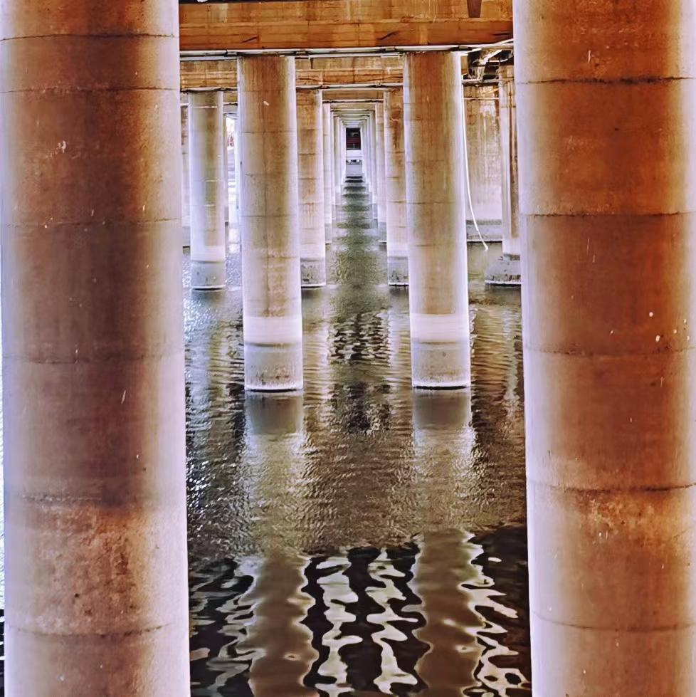 养狗人的视频,养狗人皮肤过敏的症状和表现