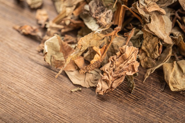 吃中药没有效果？真的是医生水平差了吗？