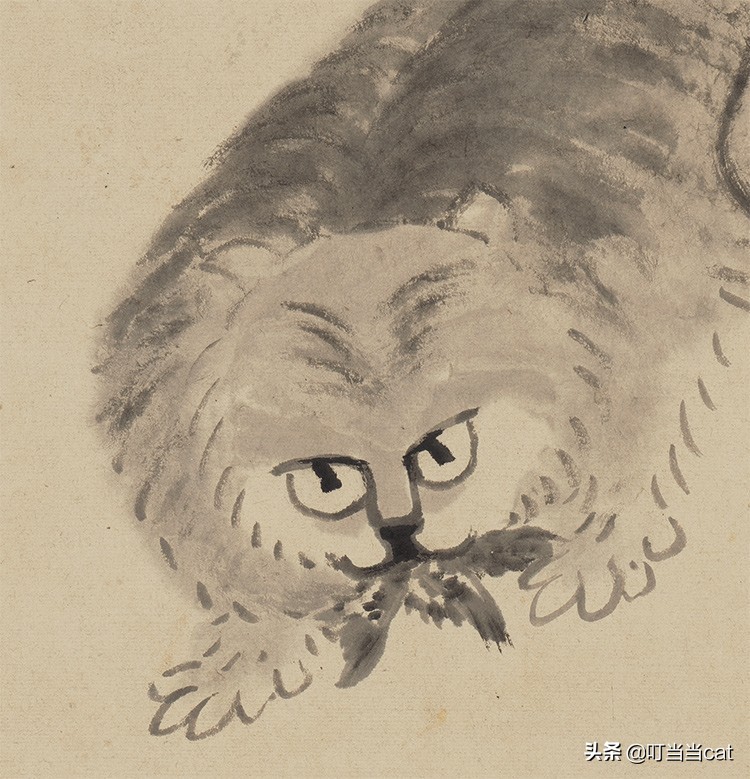 养猫是送的好还是买的好 (养猫不能买什么年花)