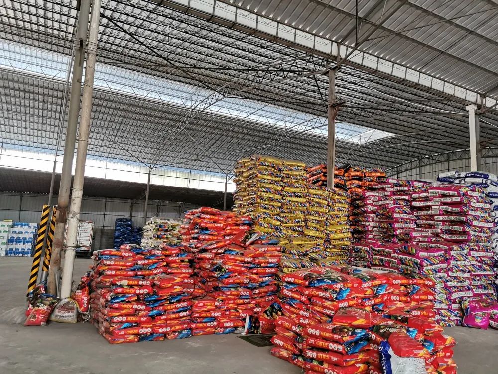 迪斯科品牌大使|严苛之下，更得人心