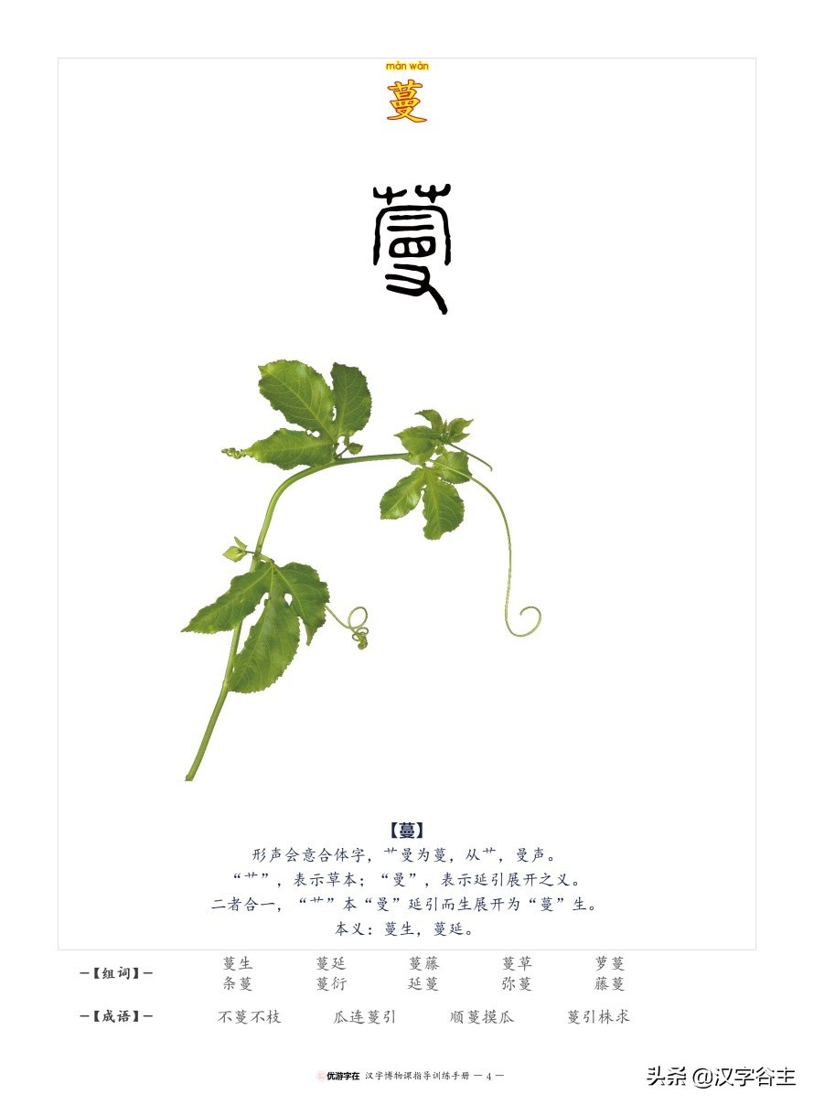 国家植物园游览掠影,走进国家植物园南北月季花海