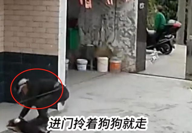 狗狗被下药后拼命跑回家后续,狗被狗贩子偷了事件