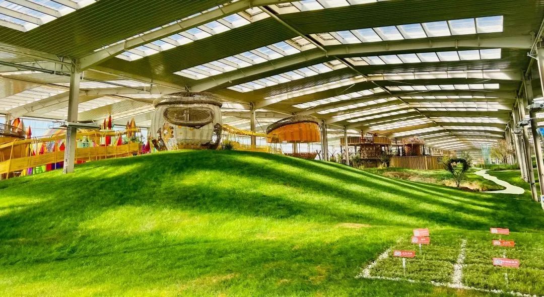 铭记关怀感恩奋进——牢记总书记嘱托交出首府亮丽答卷