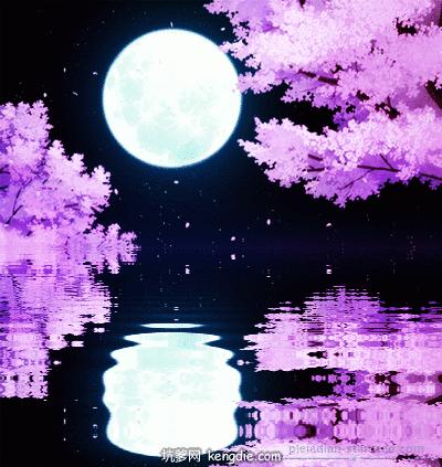 水中的月亮是什么,水中的月亮