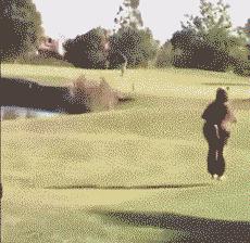 a股年度搞笑总结动图版,a股本周总结和思路