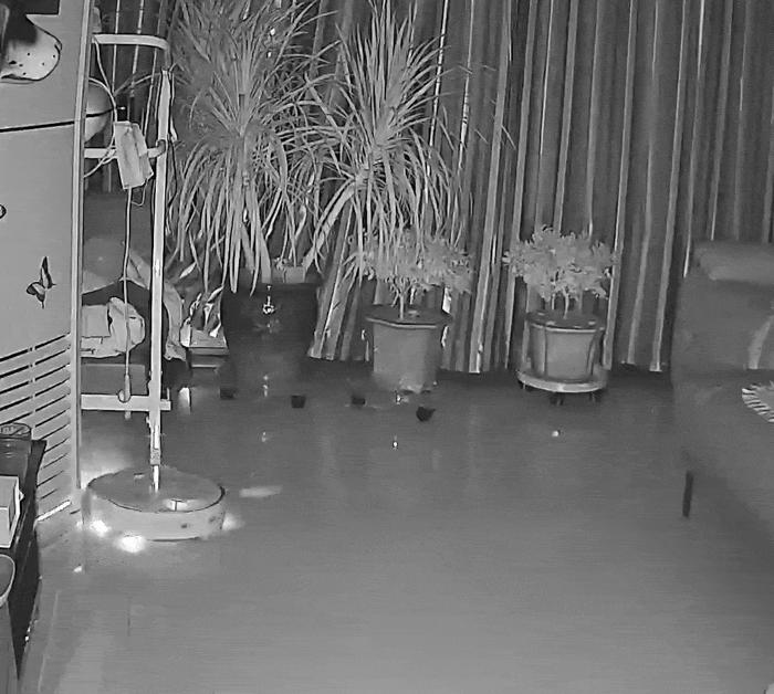 米家免洗扫拖机器人pro和追觅w10,米家扫拖一体机器人pro和追觅w10