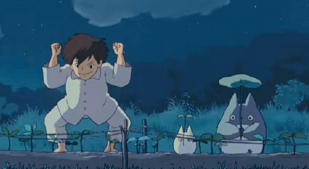 宫崎骏龙猫原型是什么动物,宫崎骏龙猫原型什么颜色