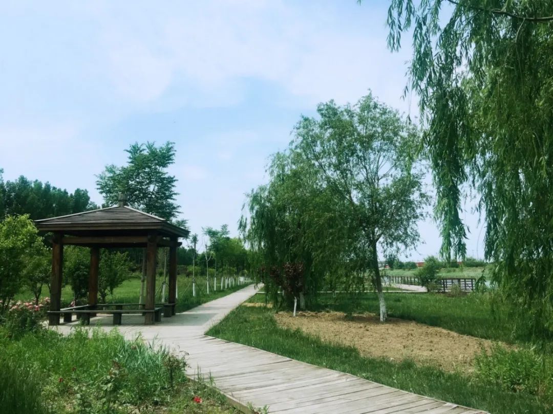 天津周边可生火的露营地,私藏天津小众露营地