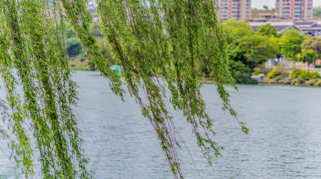 清明节拜山一定要去吗,清明节除了扫墓祭祖还有什么习俗