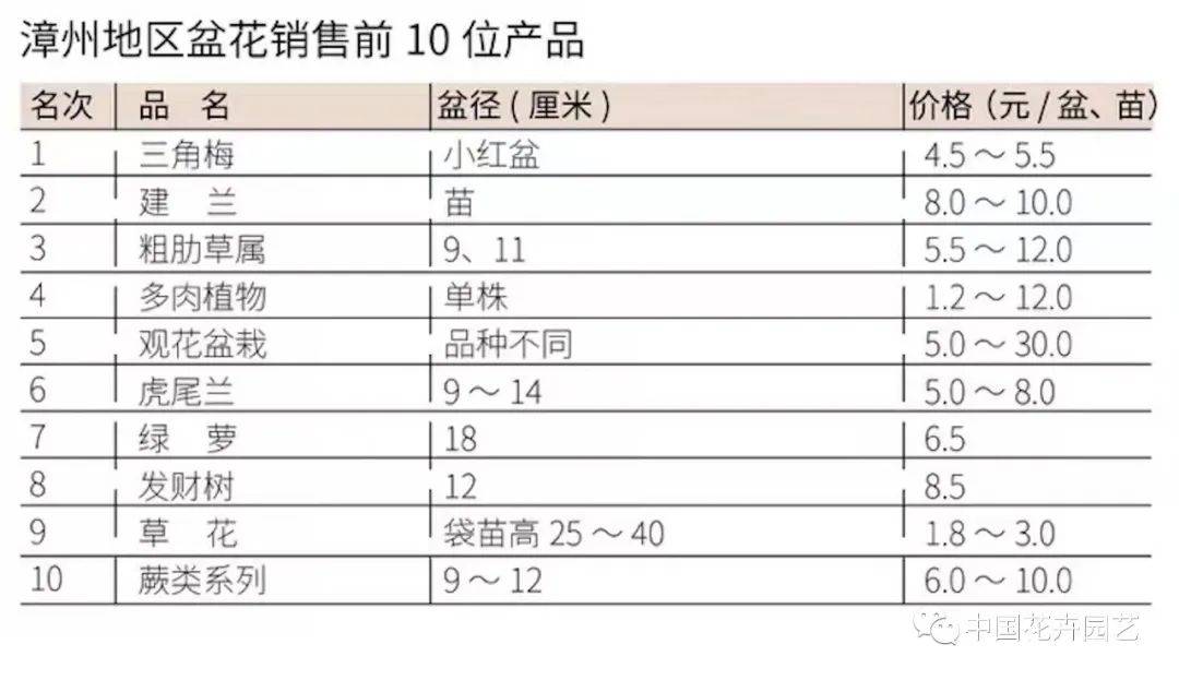 盆花批发市场价格,花卉市场盆花价格多少