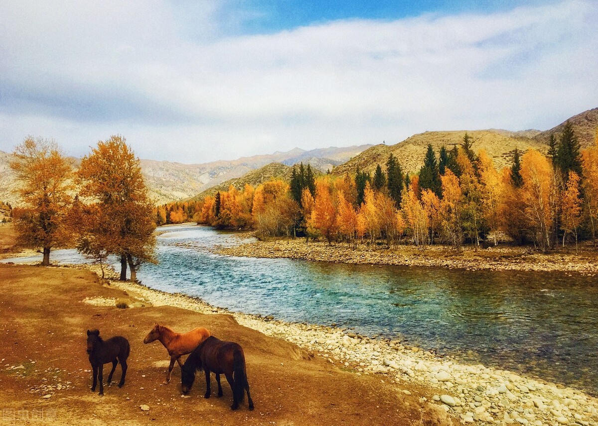 北疆喀纳斯小环线秋天,北疆喀纳斯环线自驾游最佳路线图