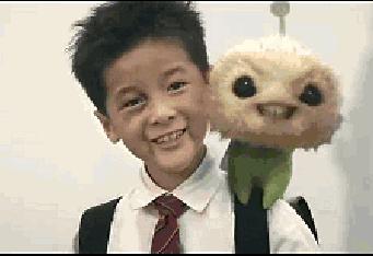 同样是动物却不一样的待遇,同样都是哈士奇却有不同的待遇