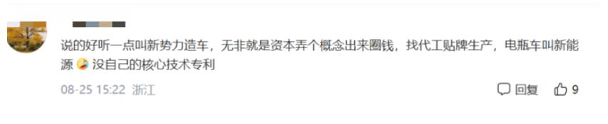 半年血亏44亿！被特斯拉“霸凌”的中国车企，开始卖惨了