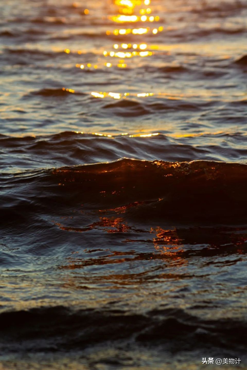 五月暮春的诗句,五月暮春四月仲春