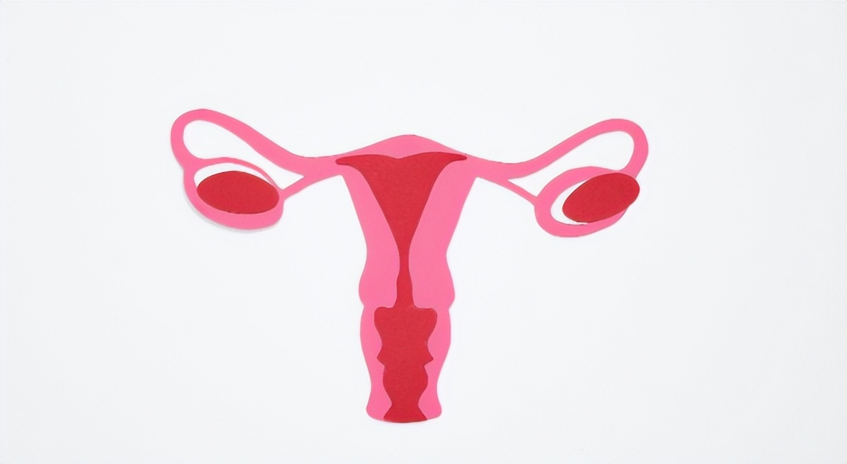 子宫脱垂掉出来的是什么,子宫脱落和子宫脱垂区别