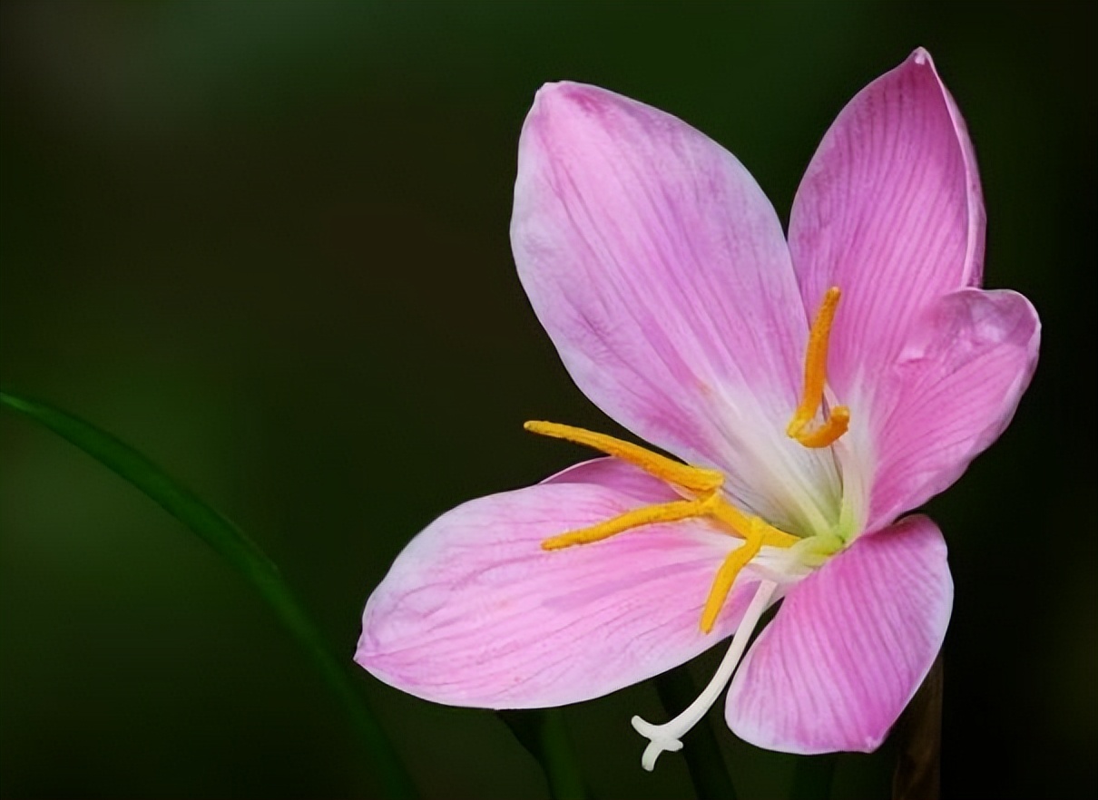 让一个人别生气的幽默句子,教你一生不再生气的诀窍