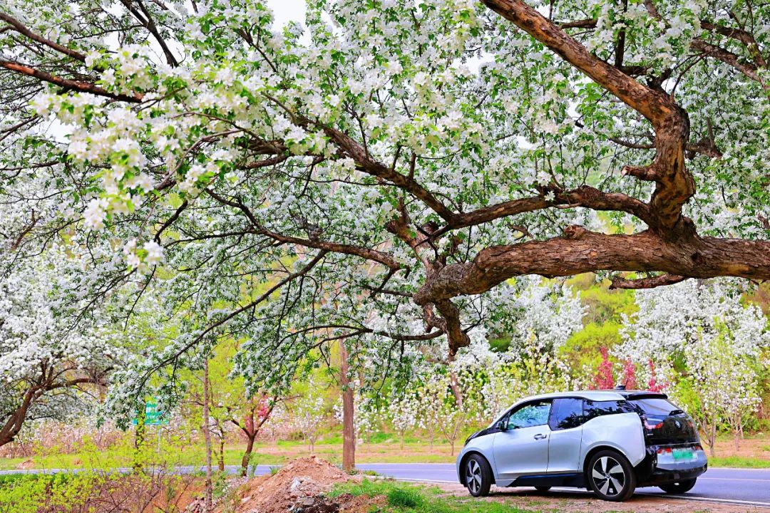 宝马电动车切换燃油车,从燃油车换到电动汽车