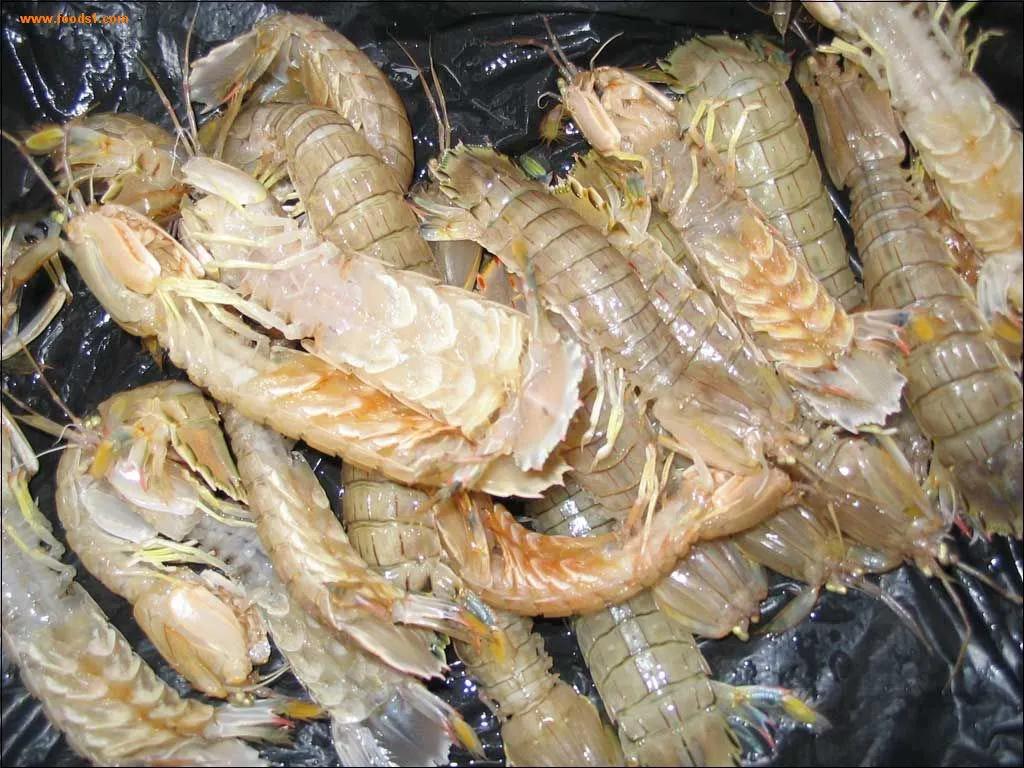 盘点15种常吃的小海鲜,100种海鲜吃法大全