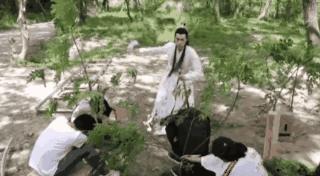 电视剧中的不忍直视,为什么电视剧拍戏只有上半身