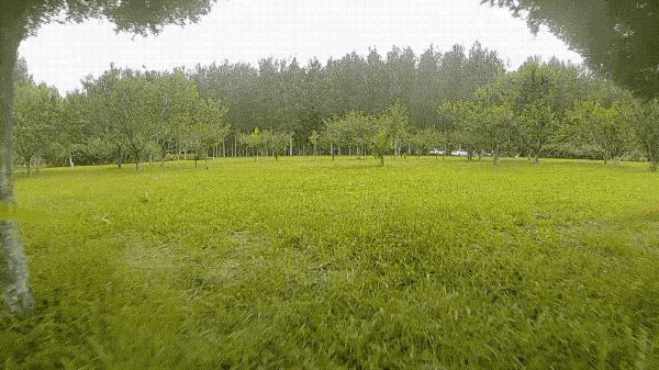 djifpv大疆沉浸式飞行无人机,大疆djifpv沉浸式飞行