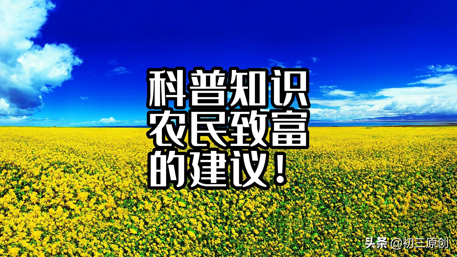 农民怎样致富赚钱,农民致富知识大全