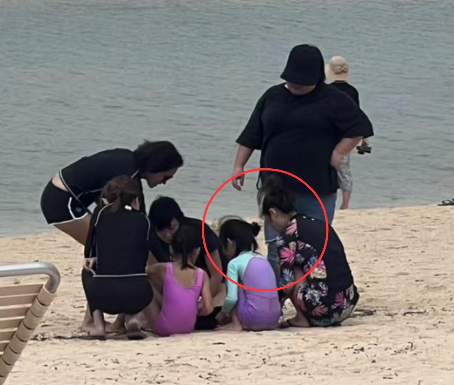 霍建华林心如带女儿海边游玩,林心如日本旅游视频