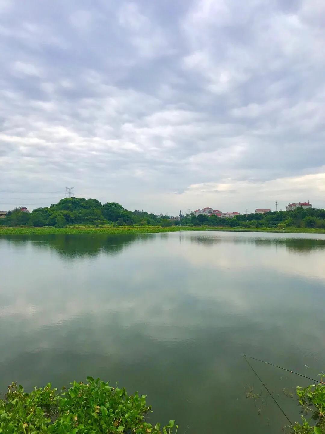 梦里水乡花伞舞,梦里水乡花楼恋歌