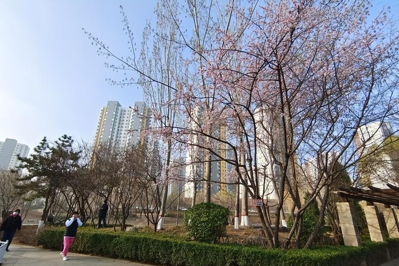 保定踏青哪里最适合自驾游,踏青免费露营保定