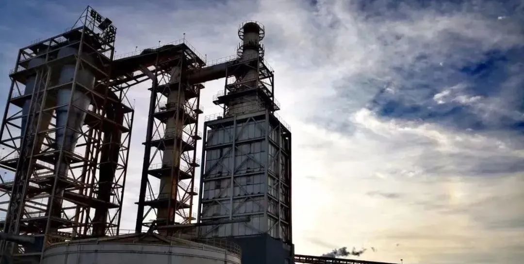 创美致简健康板BORONO柏牙诺强势推出，无毒无味F4星环保更受关注