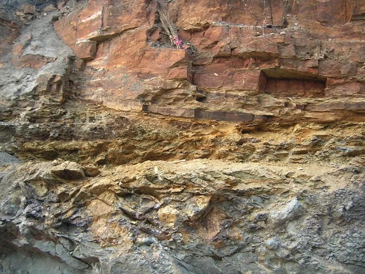 紫砂矿料的种类图片,紫砂中原矿料与清水料哪种好