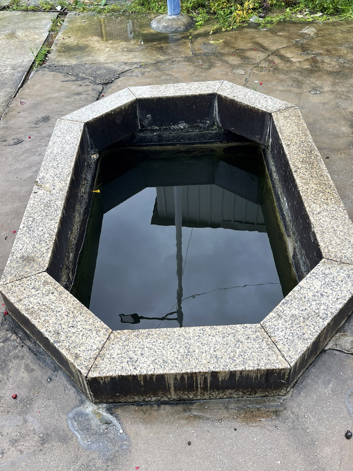 陈友谅和虱母仙,何野云和虱母仙