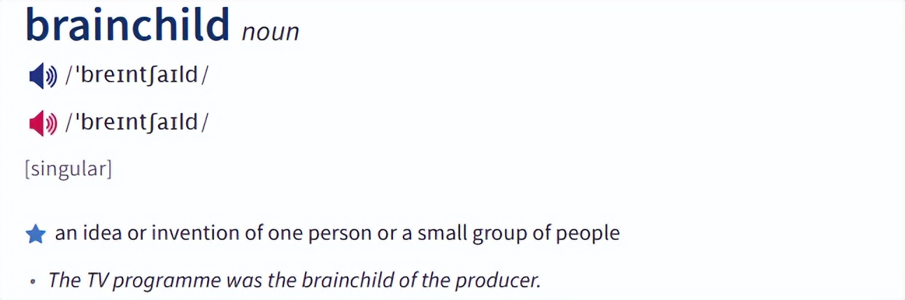 brain不是脑子的意思吗,brain是啥意思呀