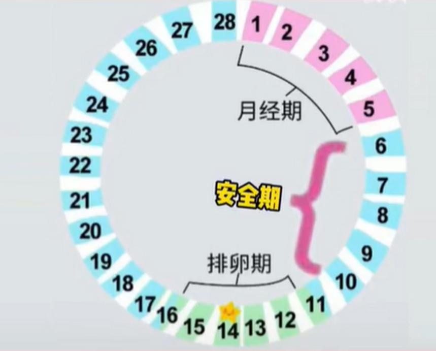 例假的前3后4是什么期,例假走后几天是安全期还是排卵期