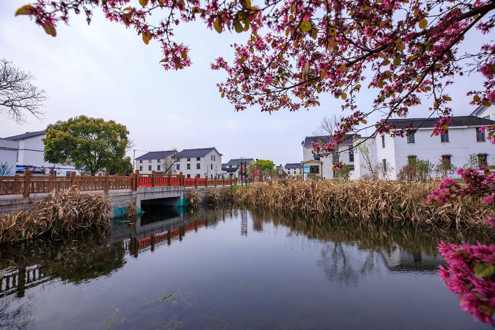 沙家浜景区诗句,沙家浜芦荡在什么地方